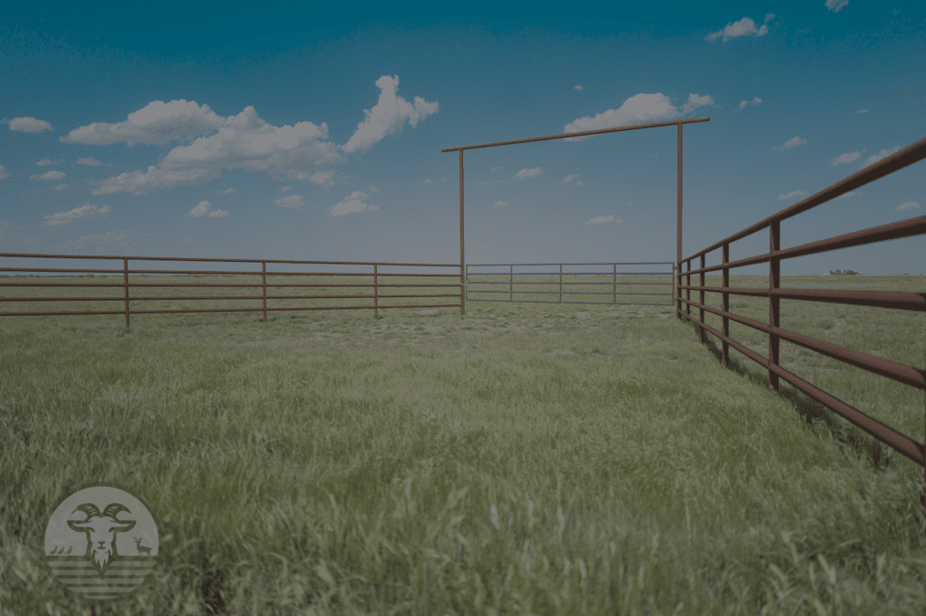 hunting land for sale texas panhandle