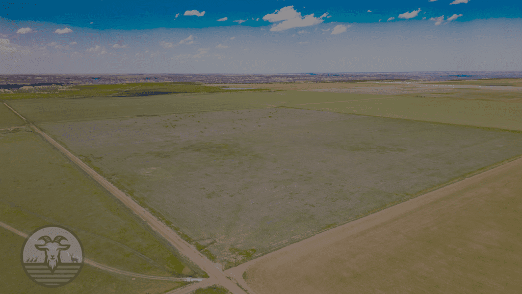 hunting land for sale texas panhandle